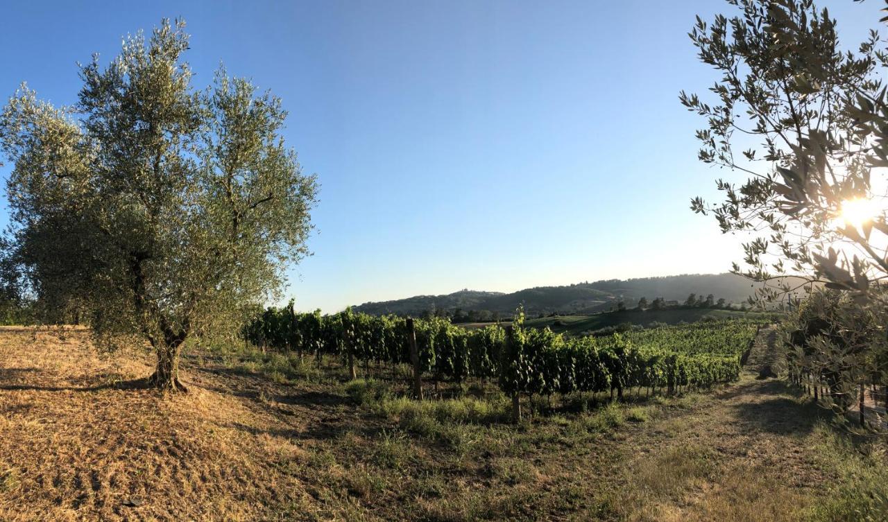 Poggio Del Drago Bed & Breakfast Montemerano