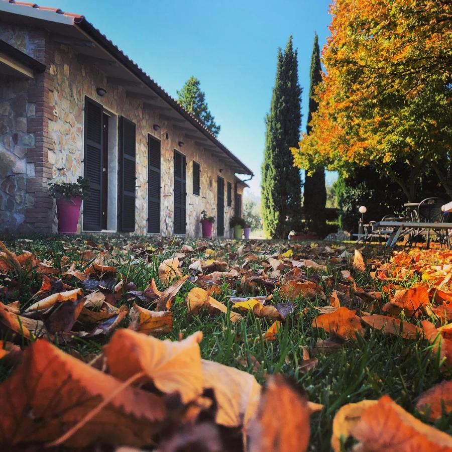 Poggio Del Drago Bed & Breakfast Montemerano